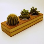 Wooden Desk Planter by Erde Designs