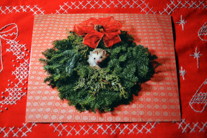 Katniss Wreath 01 SMALL